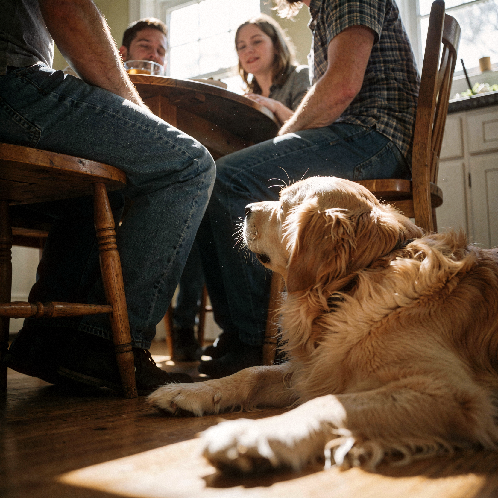 a low-angle realistic photograph taken from the perspective of a golden retriever sitting on a hardwood kitchen floor, looking up at a family of three humans seated around a table. the humans appear towering and alien, their legs forming a dense forest of denim and fabric that blocks most of the background, emphasizing the dog's small stature and dependence. sunlight streams in from a window above, creating harsh shadows and illuminating dust motes dancing in the air near the dog’s nose. the composition is tight and slightly tilted, mimicking the dog’s eager, grounded posture with front paws visible in the blurred foreground. natural unretouched fur texture on the golden retriever’s head in the immediate foreground, soft focus on the human legs and table surface. shot on 35mm Kodak Portra 400 with fine visible film grain, slight motion blur from a wagging tail in the corner.